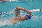 Swimming vs USCGA  Wheaton College Swimming & Diving vs US Coast Guard Academy. - Photo By: KEITH NORDSTROM : Wheaton, Swimming, Diving